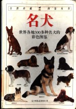 名犬