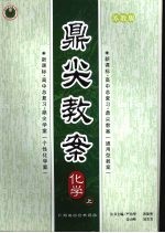 鼎尖教案  化学  苏教版  （上册）