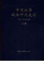 中国改革战略研究文汇  上