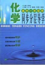 化学同步分层导学  高中一年级  修订版