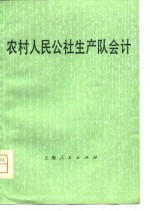 农村人民公社生产大队会计