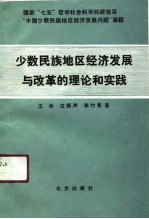 少数民族地区经济发展与改革的理论和实践