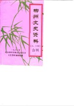 柳州文史资料  第5-6辑