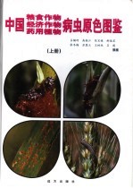 中国粮食作物、经济作物、药用植物病虫原色图鉴  中国粮食作物病虫原色图鉴