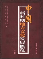 中国新时期地方文化发展概览  下