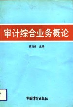 审计综合业务概论