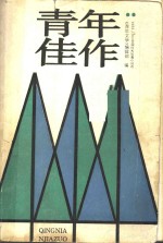 青年佳作  1988-1989全国优秀短篇小说选