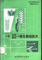 小麦、玉米、棉花一体化栽培技术