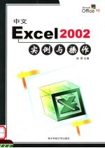 中文Excel 2002实例与操作