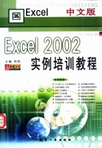 中文版Excel 2002实例培训教程