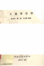 工业审计学