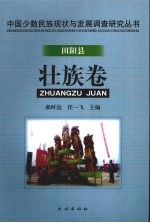 中国少数民族现状与发展调查研究丛书  田阳县壮族卷