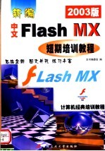 新编中文Flash MX短期培训教程 2003版