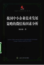 我国中小企业技术发展策略的微结构因素分析