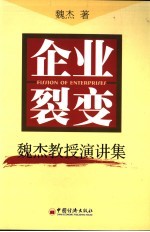 企业裂变  魏杰教授演讲集