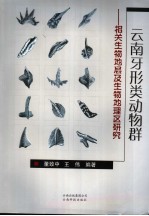 云南牙形类动物群  相关生物地层及生物地理区研究