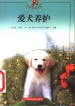 爱犬养护