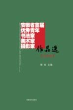 安徽省首届优秀青年书法家、美术家、摄影家作品选  美术卷