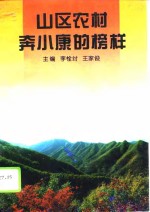 山区农村奔小康的榜样