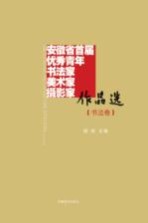 安徽省首届优秀青年书法家、美术家、摄影家作品选  书法卷