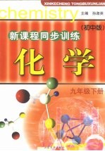 初中新课程同步训练  化学  九年级  下  初中版