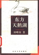 东方天鹅湖