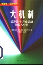 大机制  经济运行·产业组织和收入分配