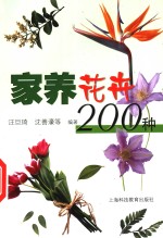 家养花卉200种