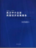 2005-2006武汉中小企业民营经济发展报告