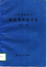 工业贷款项目新实用评估方法