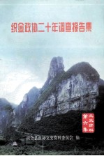 织金政协二十年调查报告集  文史资料第6集