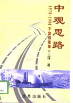 中观思路  1978/1998文章自选集