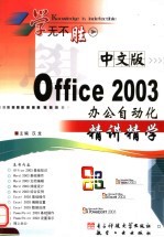 中文版Office 2003办公自动化精讲精学