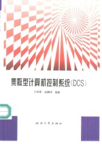 集散型计算机控制系统 DCS