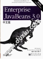 Enterprise JavaBeans 3.0中文版