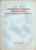 广西龙胜各族自治县日新区潘内乡潘内村瑶族社会历史调查报告