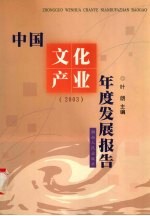 中国文化产业年度发展报告  2003