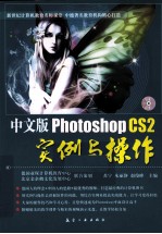 中文版Photoshop CS2实例与操作