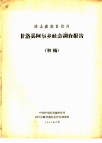 凉山彝族自治州甘洛县阿尔乡社会调查报告  初稿