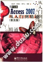 ACCESS 2007中文版从入门到精通  （普及版）