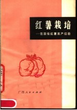 红薯栽培：范围佳红薯高产经验