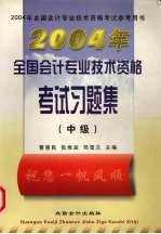 2004年全国会计专业技术资格考试习题集  中级