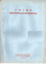 广西上思县思阳乡壮族社会历史调查报告