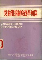 党的组织制度改革初探