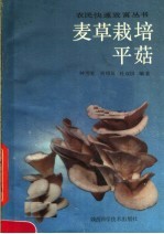 麦草栽培平菇