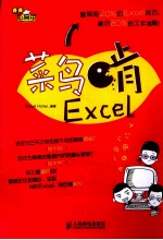 菜鸟啃Excel  彩印