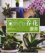 office养花  养出健康来