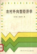 农村外向型经济学