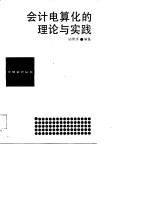 会计电算化的理论与实践