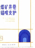 煤矿井巷锚喷支护